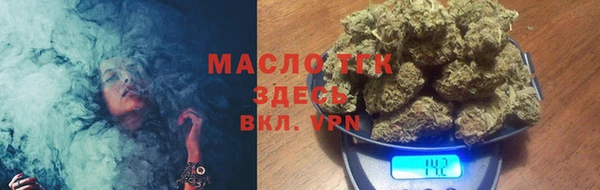 мдпв Гусь-Хрустальный