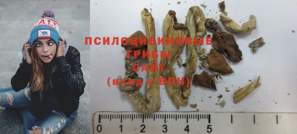 гидропоника Гусев