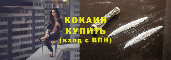 мдпв Гусь-Хрустальный