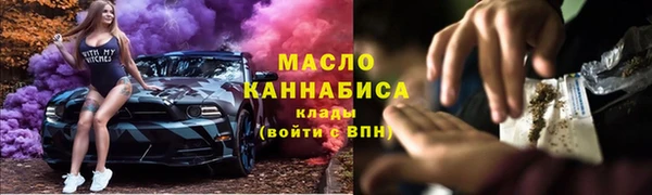 мдпв Гусь-Хрустальный