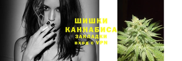 гидропоника Гусев
