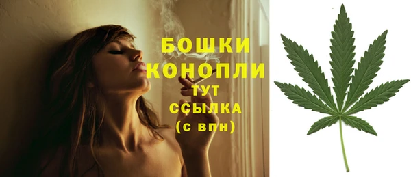 гашишное масло Гусиноозёрск