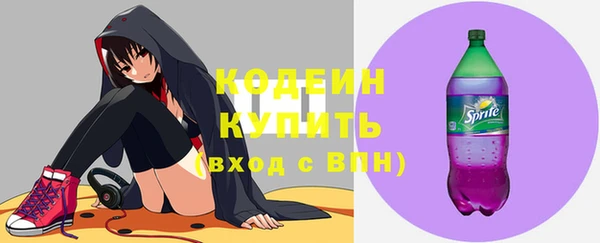 мдпв Гусь-Хрустальный