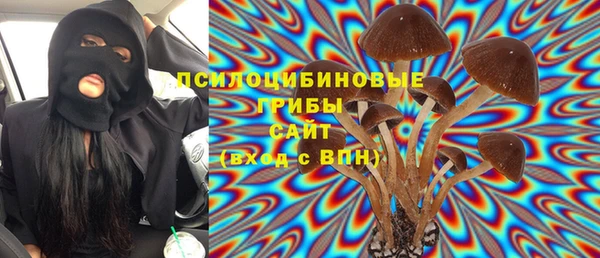 гидропоника Гусев