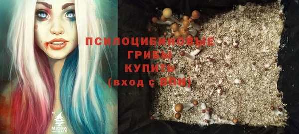 мдпв Гусь-Хрустальный