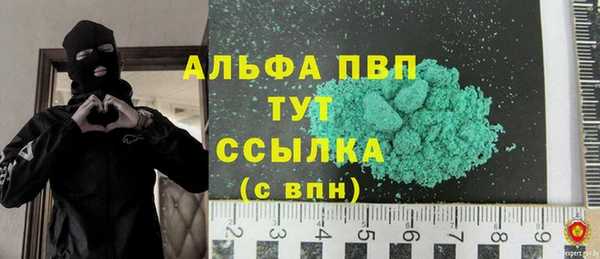 мдпв Гусь-Хрустальный